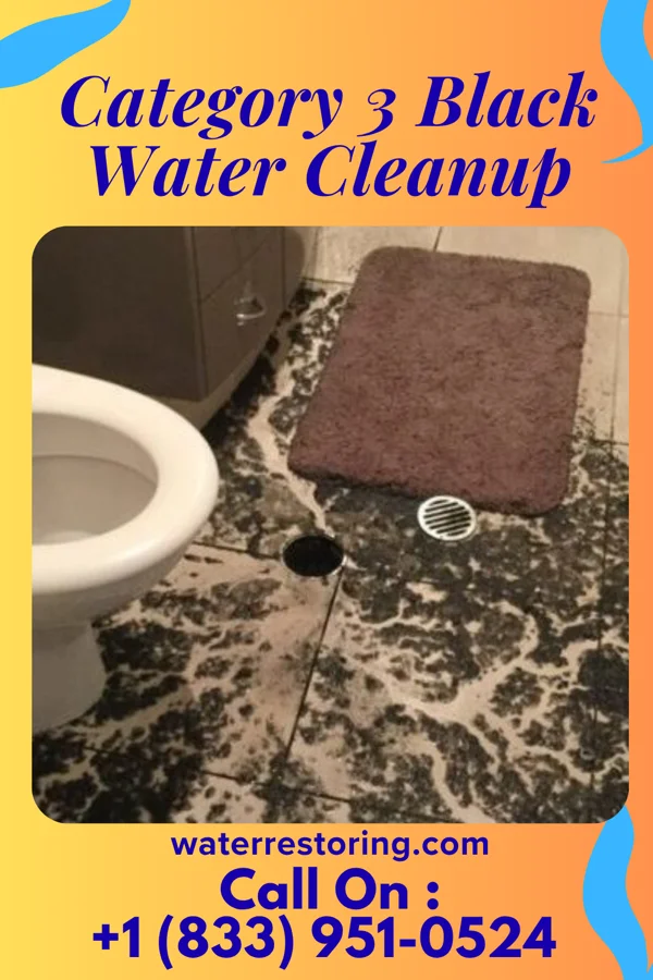 Category 3 Black Water Cleanup in Springerville, AZ